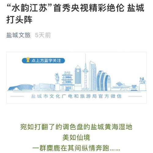 水韻江蘇宣傳片引爆全網，江蘇文旅品牌建設迎來新篇章